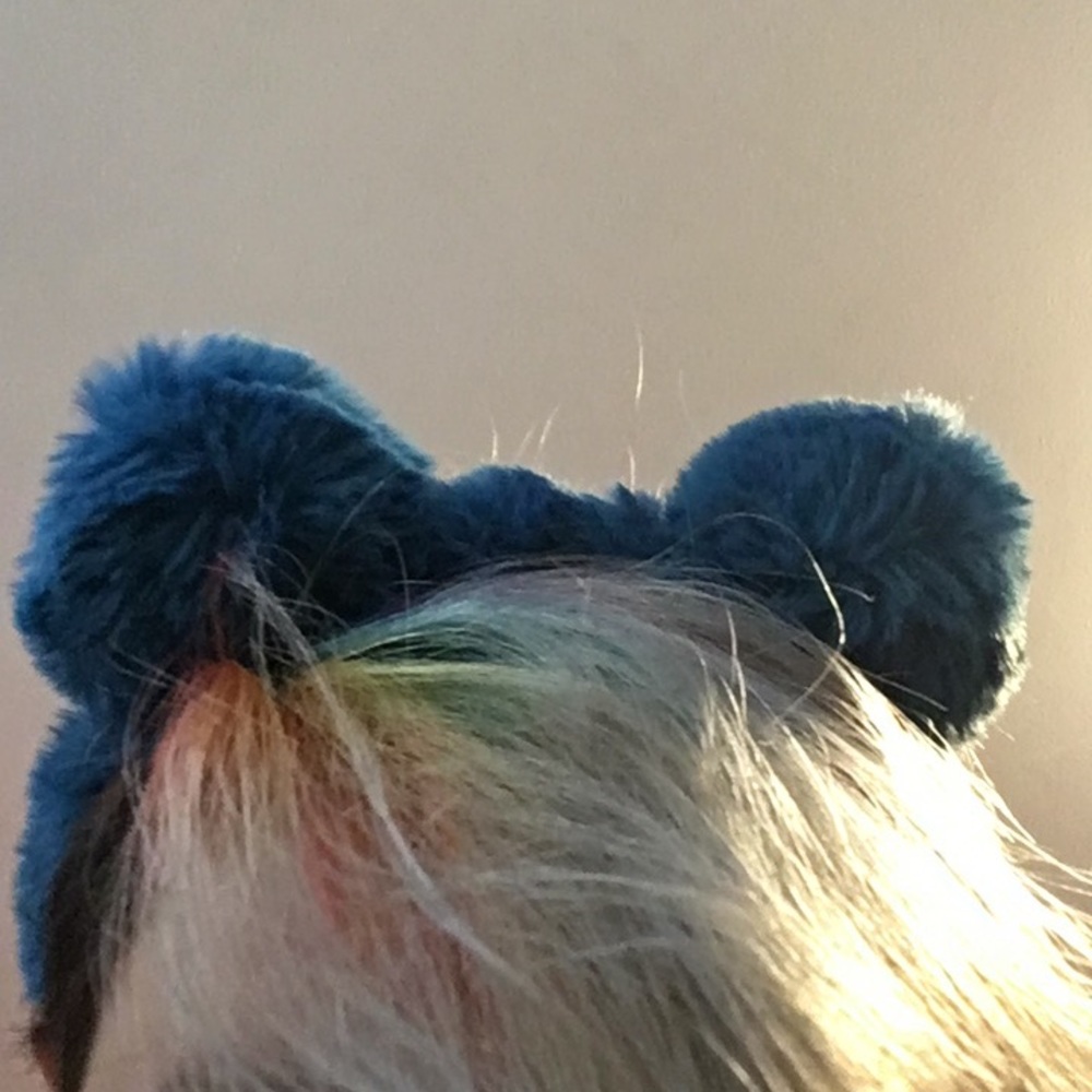 ⭐️Fuzzy cat ears⭐️